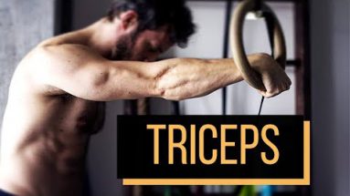 triceps_callisthenie_simon-hamptaux